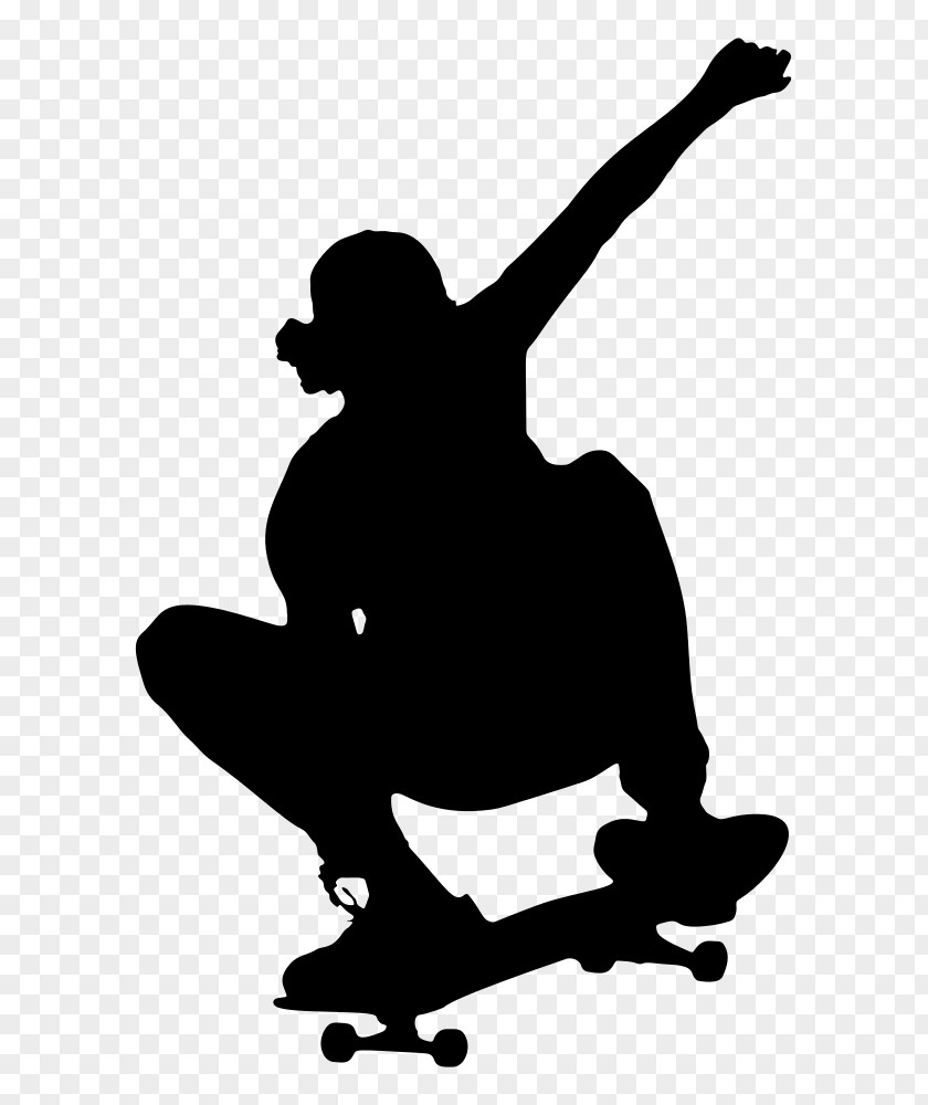 Skateboarding Skateboard Equipment Recreation Silhouette PNG
