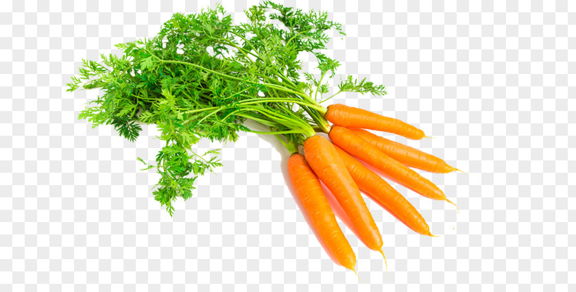 Carrot Vegetable Food Root Oil PNG