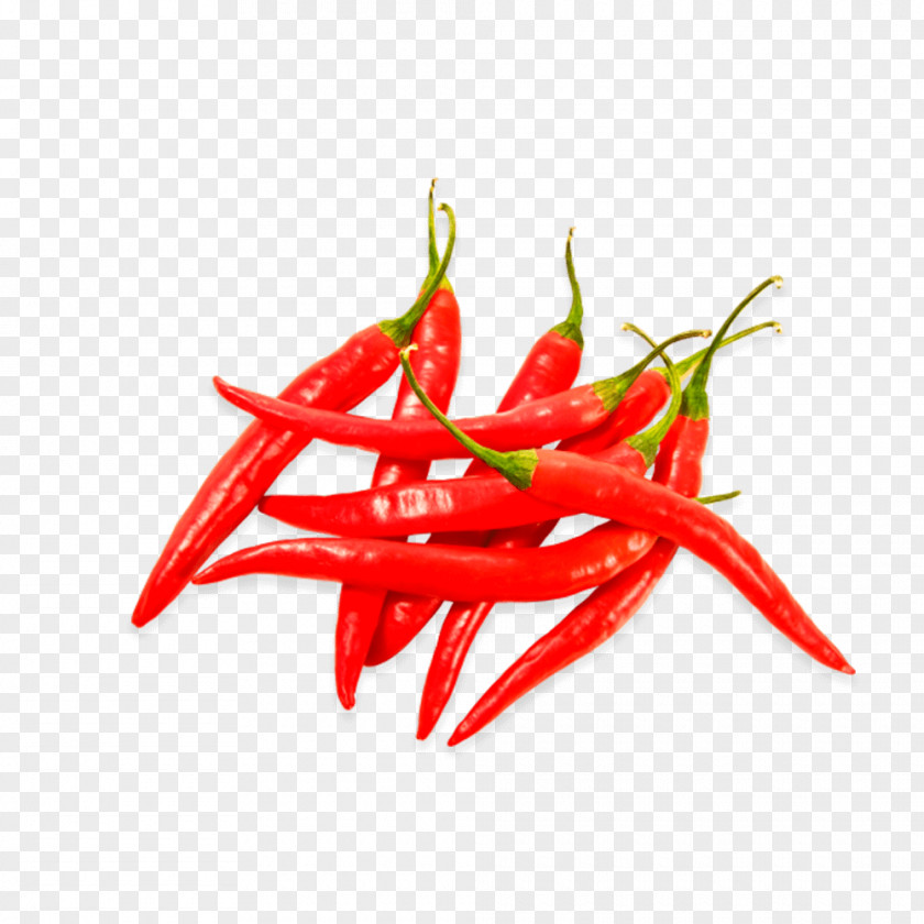 Chili Con Carne Capsicum Annuum Var. Acuminatum Pepper Peppers PNG