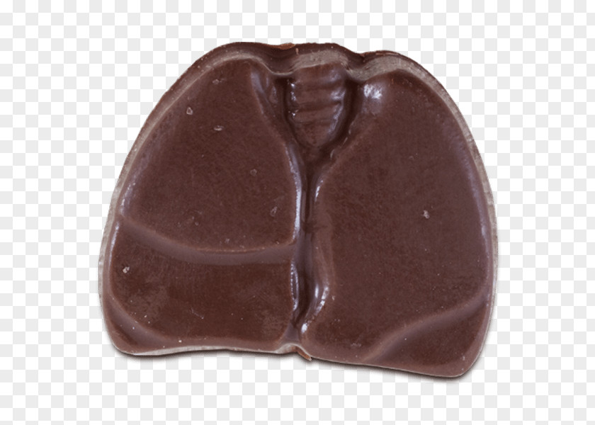 Chocolate Visual Anatomy Lung Heart PNG