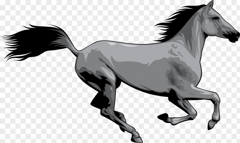 Horse Mustang American Paint Wild Clip Art PNG