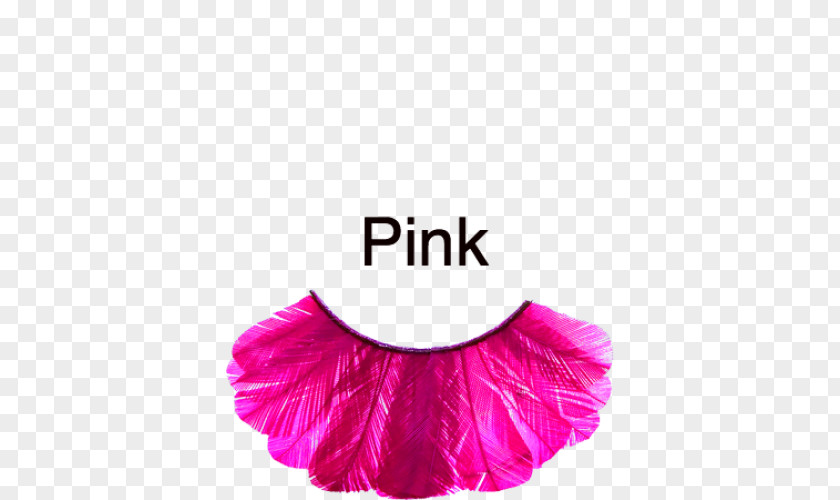 Pink Feathers Eyelash Extensions Kryolan Cosmetics Eye Liner PNG