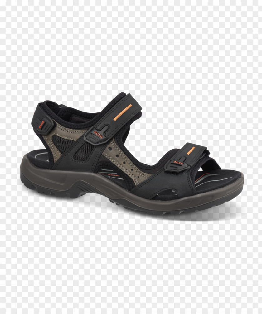 Sandal Amazon.com Shoe ECCO Shorts PNG