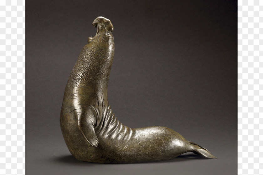 Steve Bronze Sculpture Southern Elephant Seal Pinniped PNG