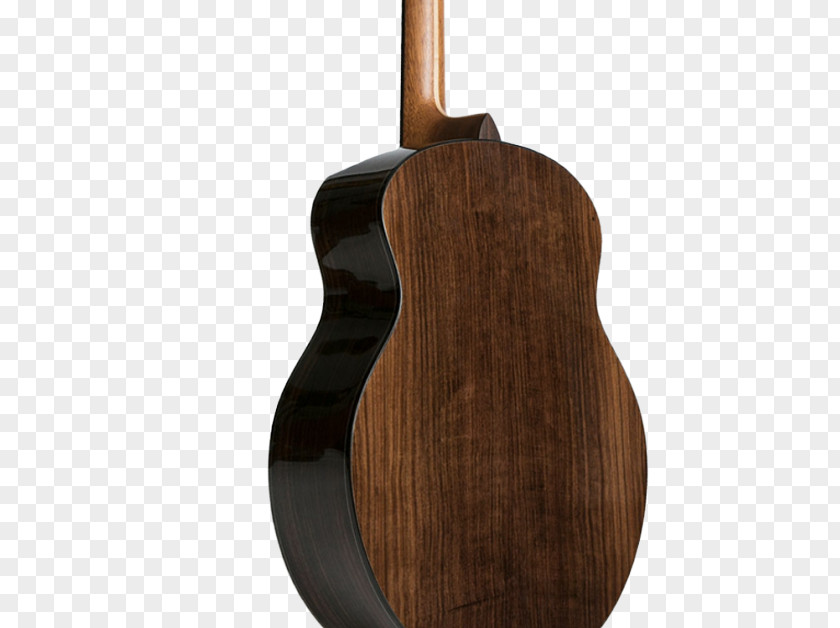 Acoustic Guitar Fret Bass Cavaquinho PNG