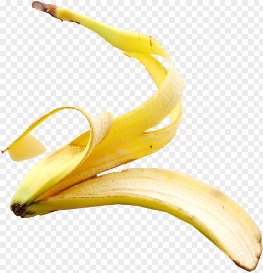 Banana Peel Clip Art PNG