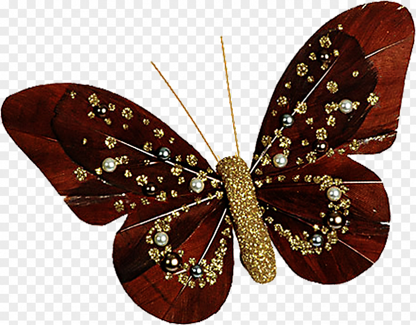 Butterfly Net Pearl Wedding Nacre PNG