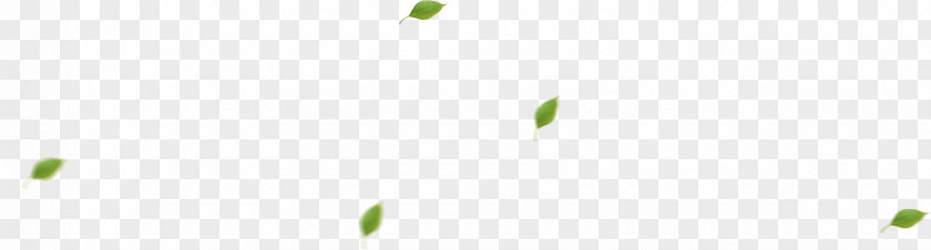 Green Leaves Logo Brand Pattern PNG