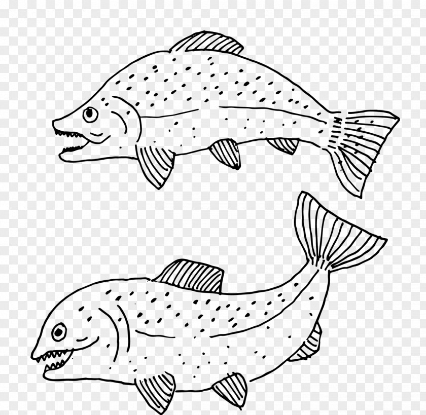Jane Black Pen Cartoon Fish And White Clip Art PNG