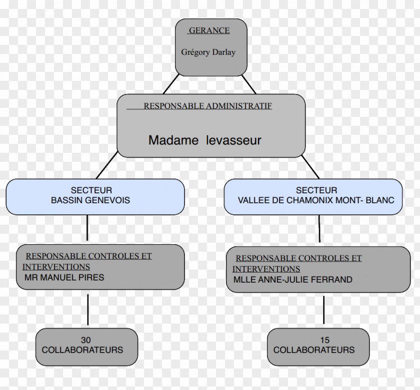 Line Brand Organization PNG