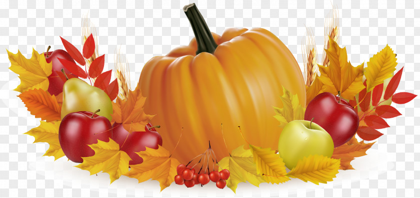 Yellow Pumpkin Fruit Thanksgiving Illustration PNG
