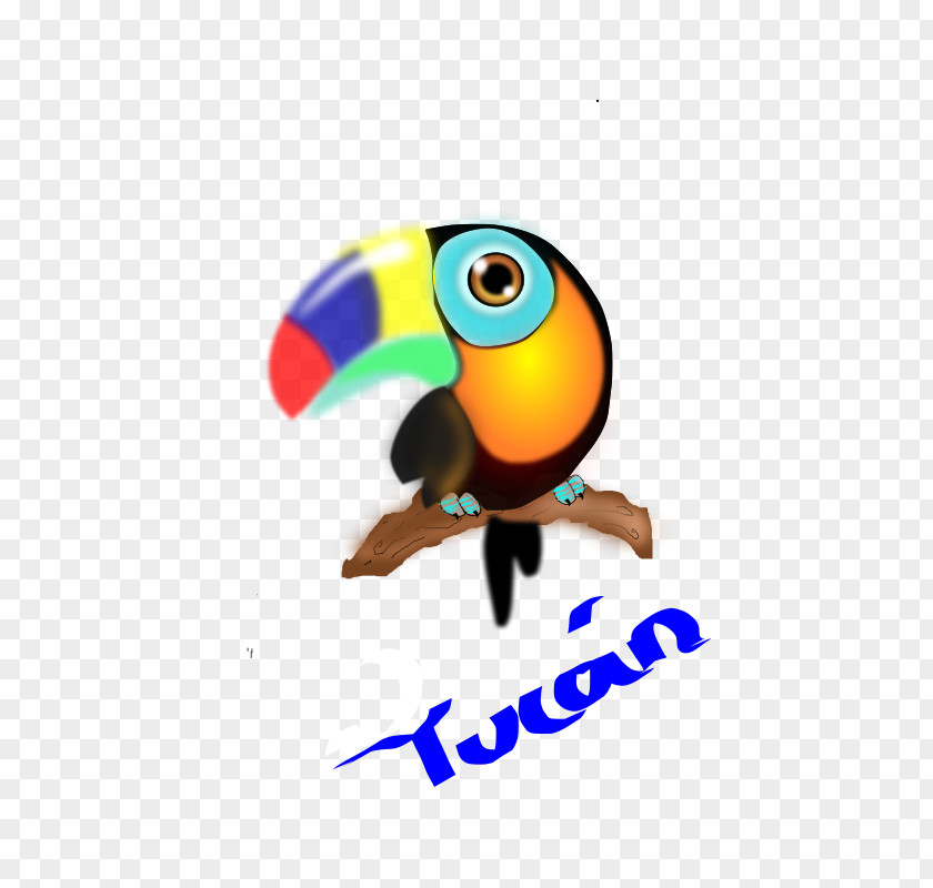 Bird Keel-billed Toucan Beak PNG
