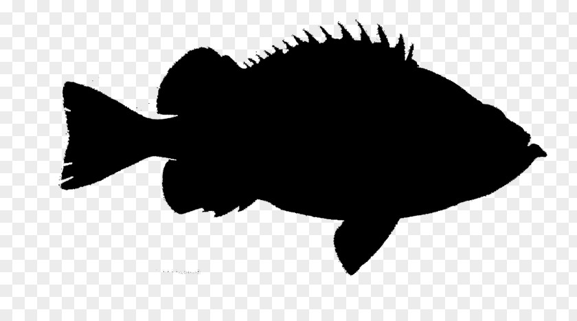Fauna Silhouette Font Fish Black M PNG