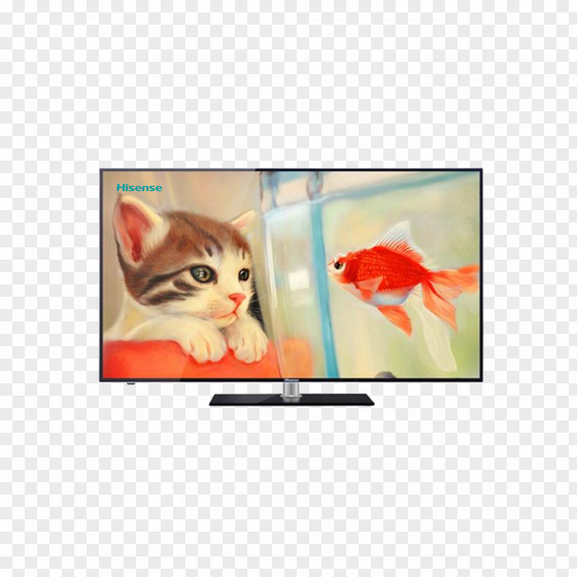 Hisense TV Cat Goldfish Painting Drawing PNG