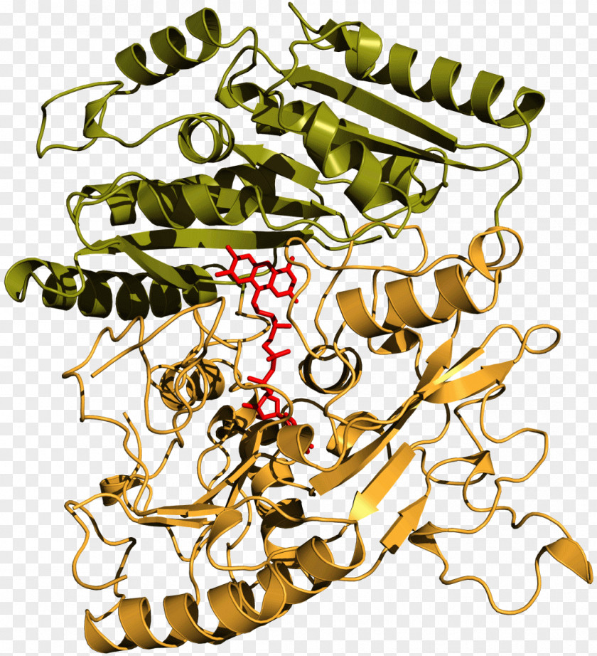 Vanillyl-alcohol Oxidase Vanillyl Alcohol Chemistry PNG