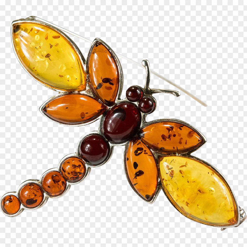 Amber Baltic Insect Dragonfly Brooch PNG
