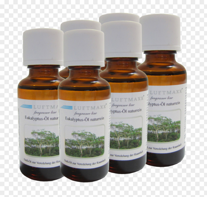 EUKALYPTUS Gum Trees Aromatherapy Water Filter Air Fresheners Aroma Lamp PNG