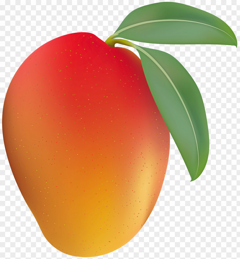 Fruit Plant Leaf Food Tree PNG