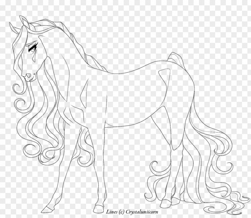 Horse Line Art Drawing Artist PNG