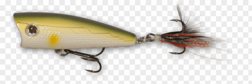 Spoon Lure Lesson Plan Metal Twig PNG