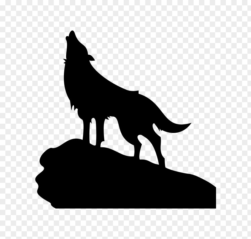 Tem Gray Wolf Coyote Silhouette PNG