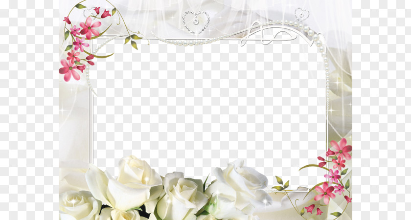 White Flower Frame Picture Photography PNG