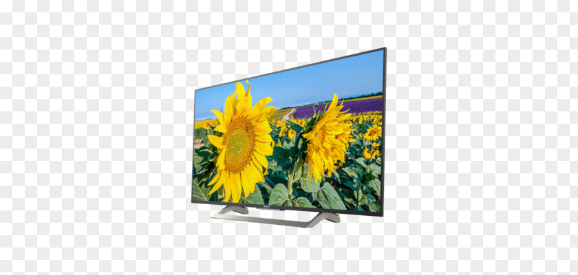 43XF8096LED-backlit LCD TVSmart TV4K UHD (2160p) Ultra-high-definition Television Bravia Sony CorporationHigh Dynamic Range KD PNG