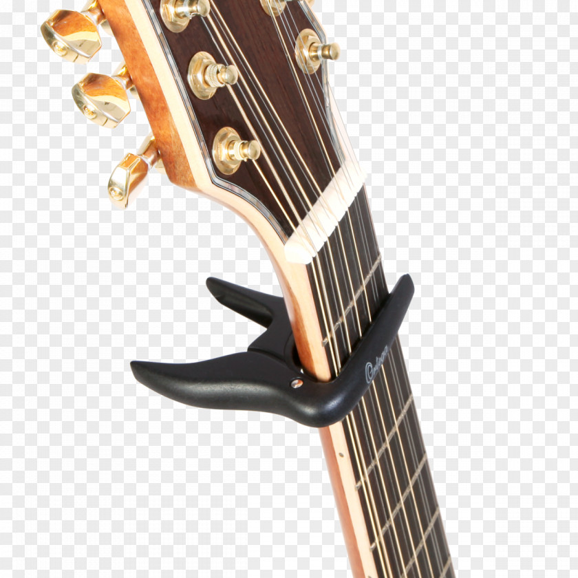 Amancio Ortega Musical Instruments Bass Guitar String Acoustic PNG