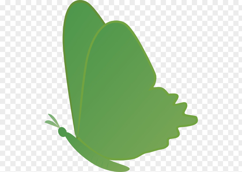 Butterfly Clip Art PNG