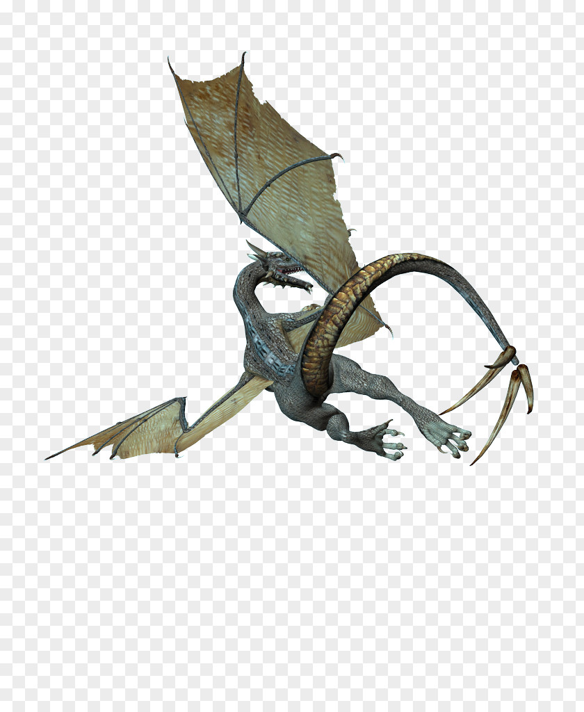 Dragon PNG clipart PNG