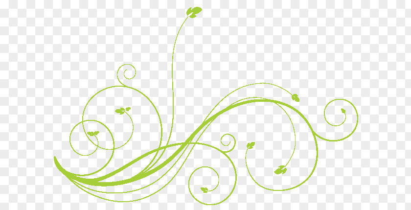 Flower Cut Flowers Milk Veganism Plant PNG