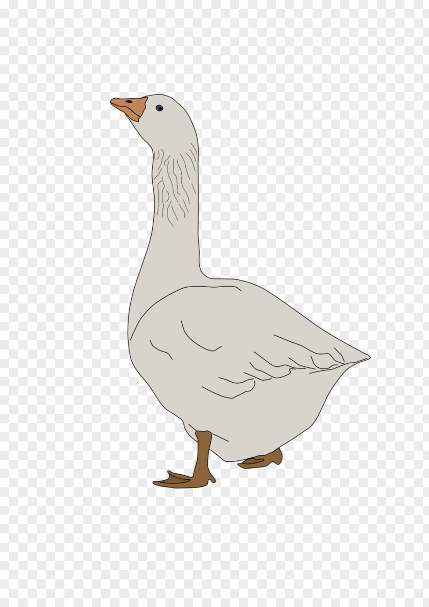 Goose Canada Clip Art PNG