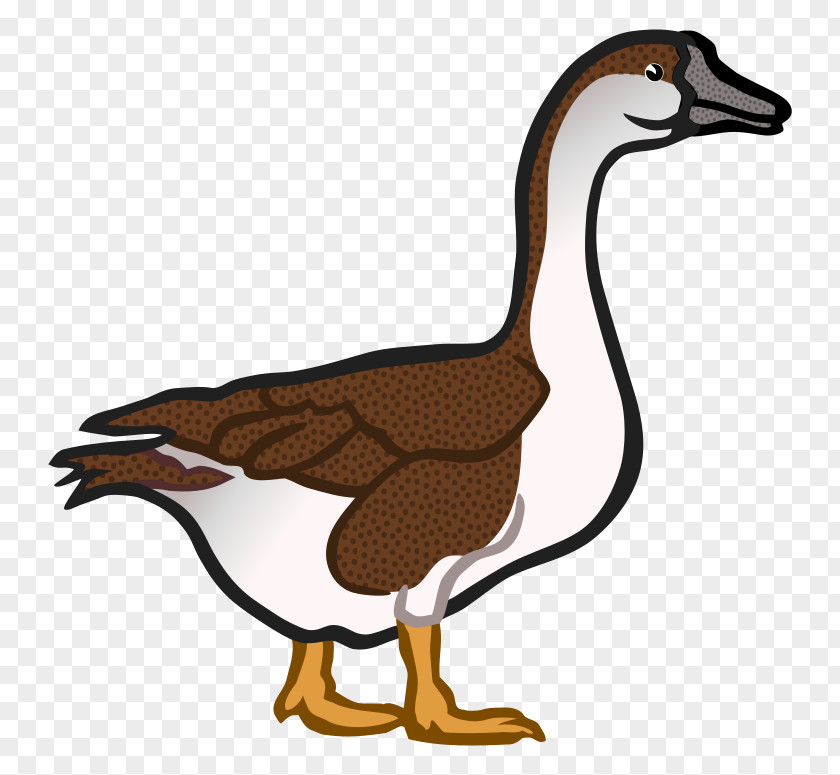 Goose Duck Clip Art PNG