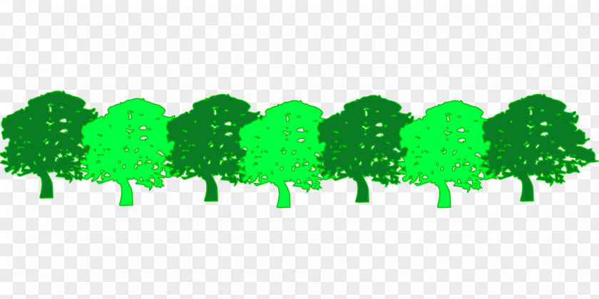 Landscape Tree Green Forest Clip Art PNG