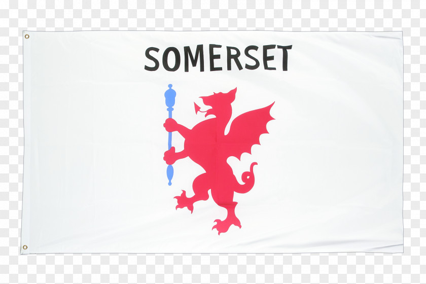 Taunton Somerset County Council Frome Bridgwater PNG