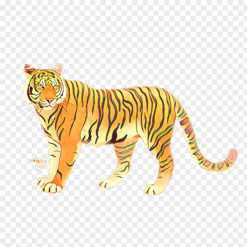 Tiger Big Cat Terrestrial Animal Fauna PNG