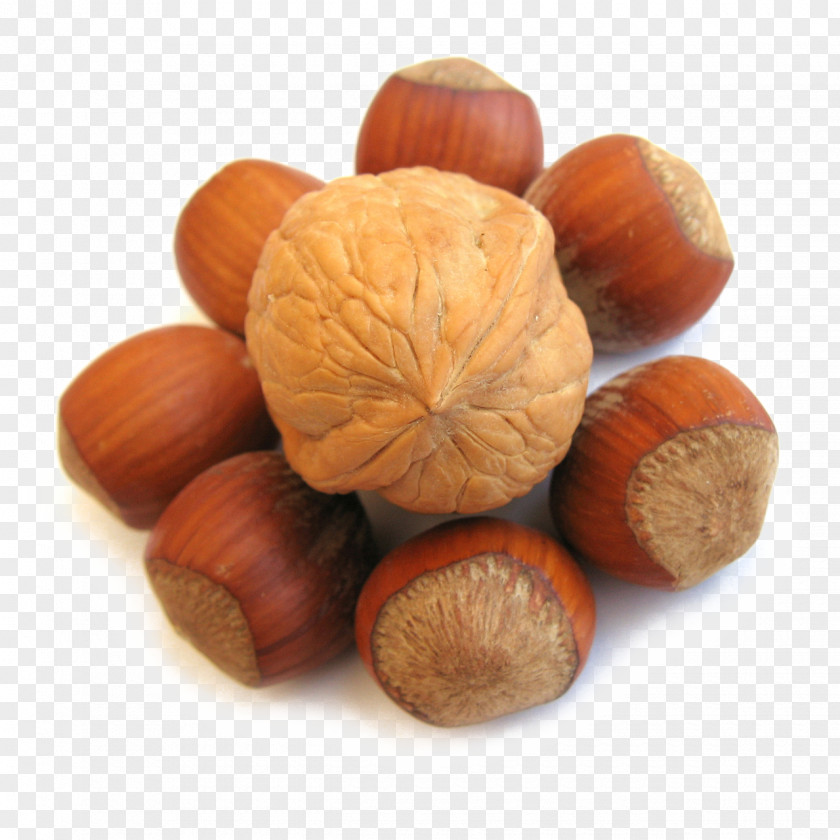 Walnut Nuts Comb Hair Care Candlenut PNG