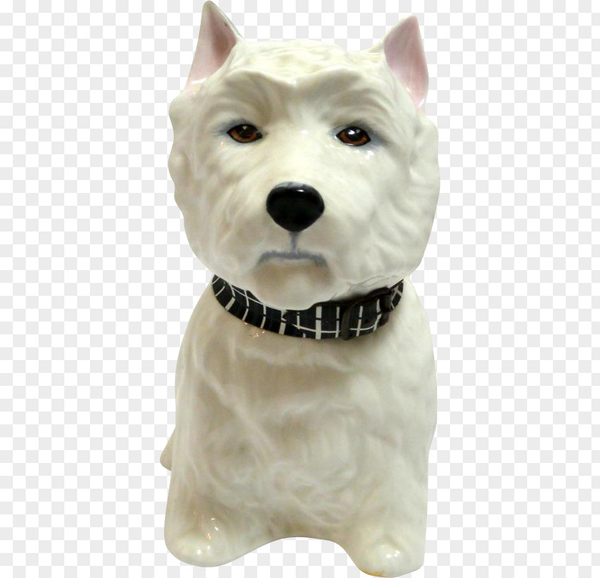West Highland Terrier White Dog Breed Companion Snout PNG