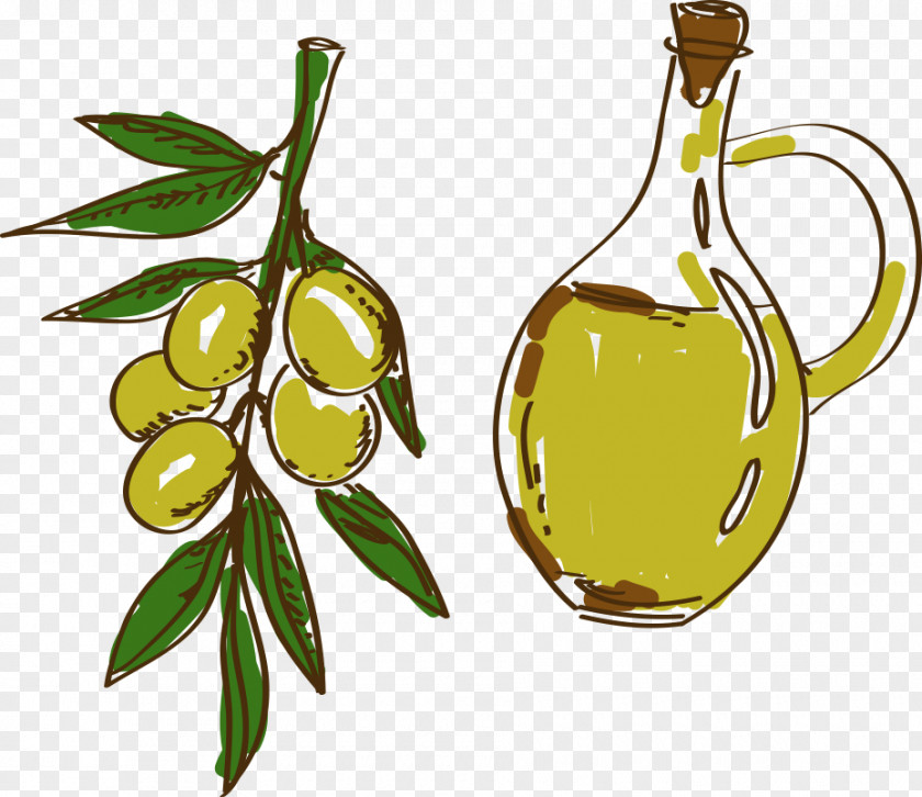 Cartoon Painted Olive Oil PNG
