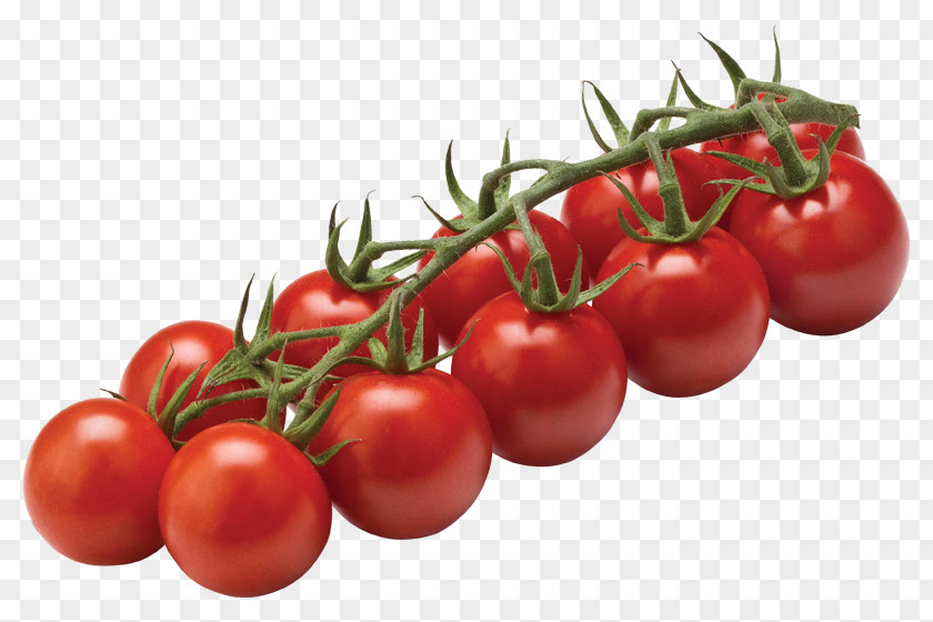 Cherry Tomatoes Tomato Vegetable Beefsteak Fruit PNG