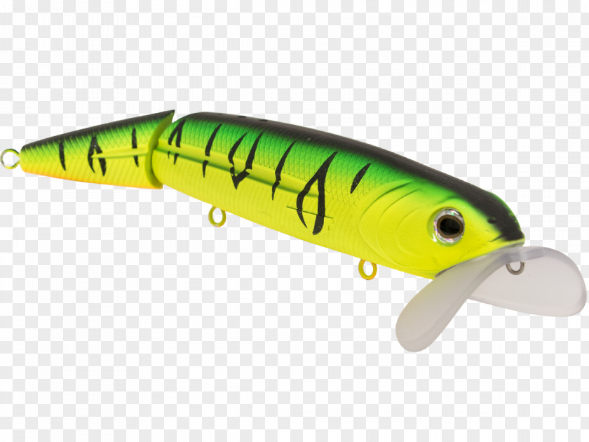 Design Spoon Lure Perch PNG