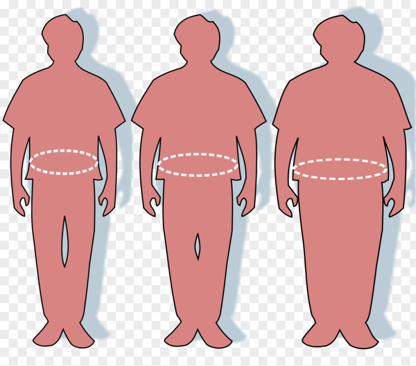 Fat Man Waist Abdominal Obesity Overweight Adipose Tissue PNG