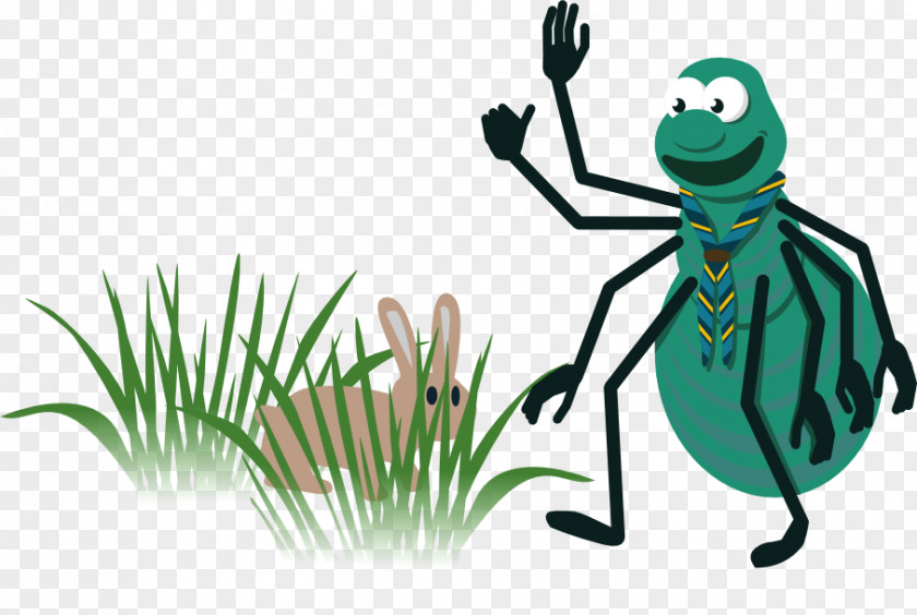 Frog Insect Clip Art PNG