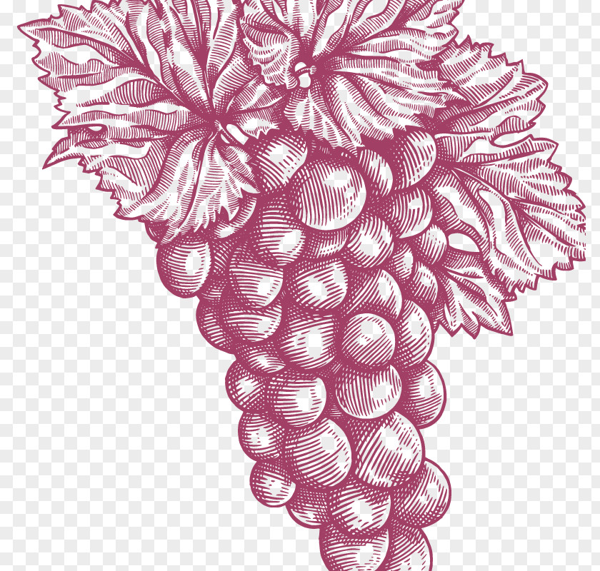 Grape Floral Design Pattern PNG