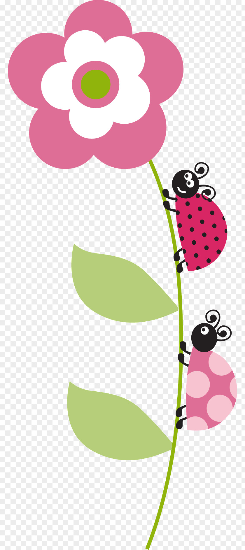 Ladybird Cartoon Document Clip Art PNG