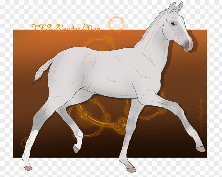 Mustang Stallion Foal Mare Colt PNG