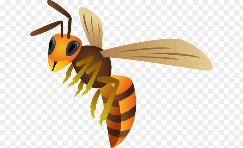 Bee Honey Hornet True Wasps PNG