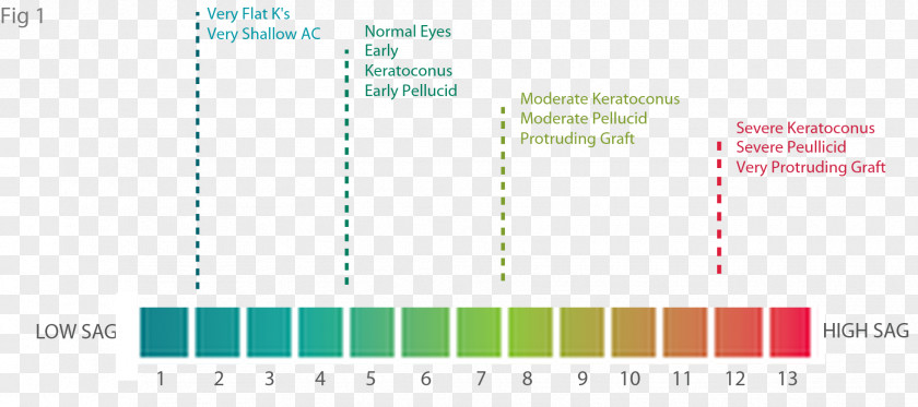 Design Graphic Document Green PNG