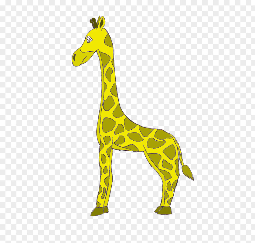 Giraffe Drawing Fauna Neck Terrestrial Animal PNG