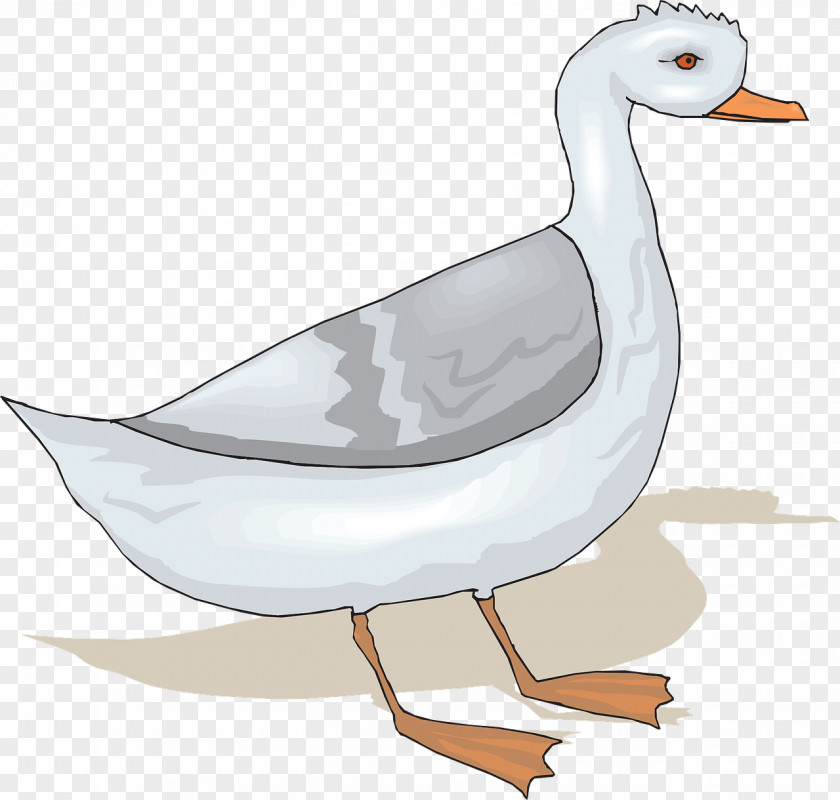 Gray Duck Goose Bird Clip Art PNG
